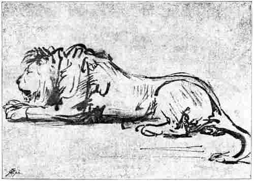 Abb. 88. Studie eines ruhenden Löwen