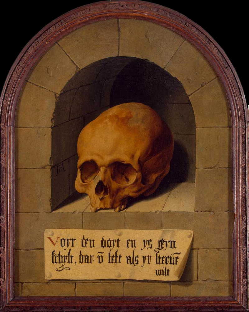 Skull in a niche. Barthel Bruyn the Elder