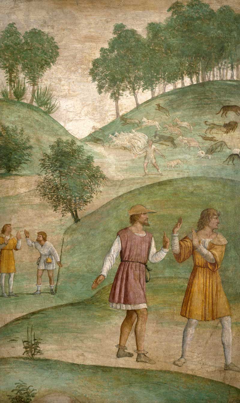 The Misfortunes of Cephalus. Bernardino Luini