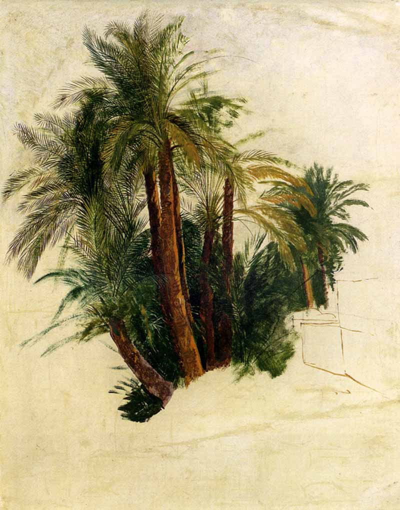 Study Of Palm Trees, Edward Lear