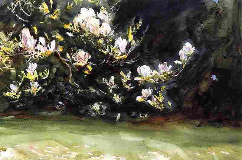 Magnolias, John Singer Sargent