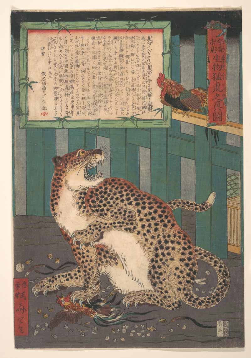 True Picture of a Live Wild Tiger, Kawanabe Kyosai