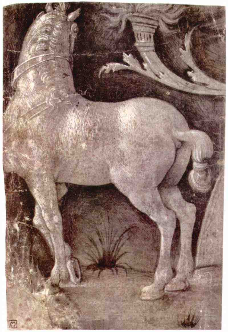 Study of a horse. Italian Master of the 15th century