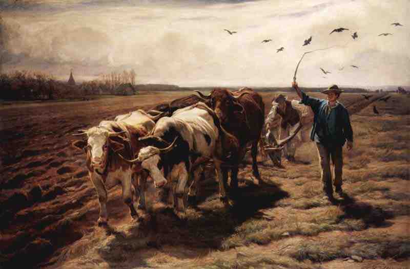 Plowing oxen. Rudolf Koller
