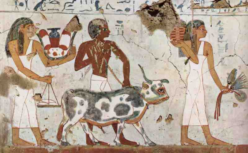 Painter of the grave chamber of the Amenemhêt