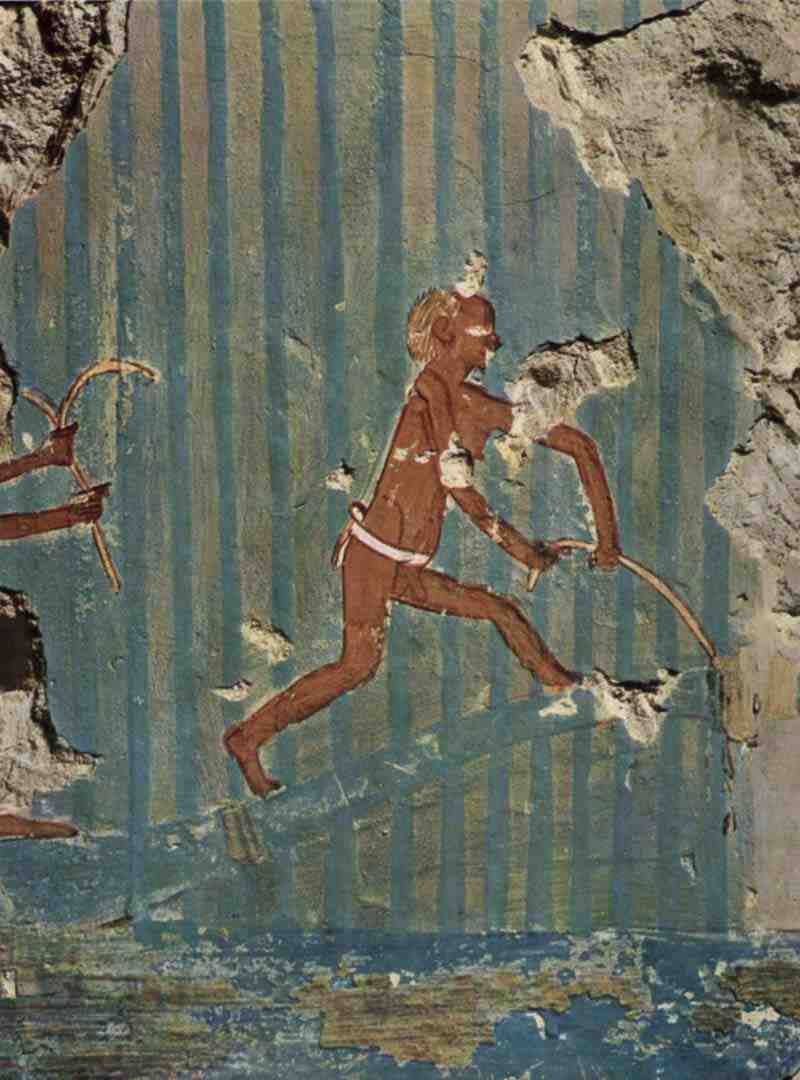 Painter of the grave chamber of the Amenemhêt