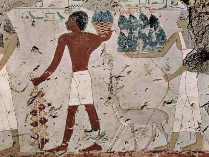 Painter of the grave chamber of the Amenemhet