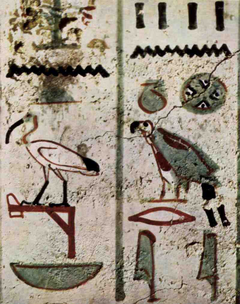 Grave chamber of Zenue, army clerk under Thutmose IV, scene. Birds and hieroglyphs. Painter of the grave chamber of Zenue