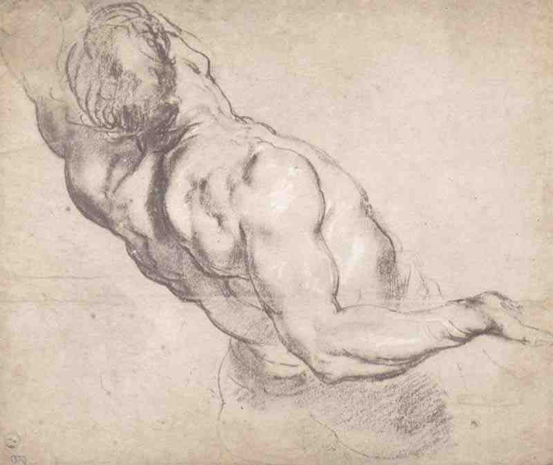 Study of a male torso, Peter Paul Rubens