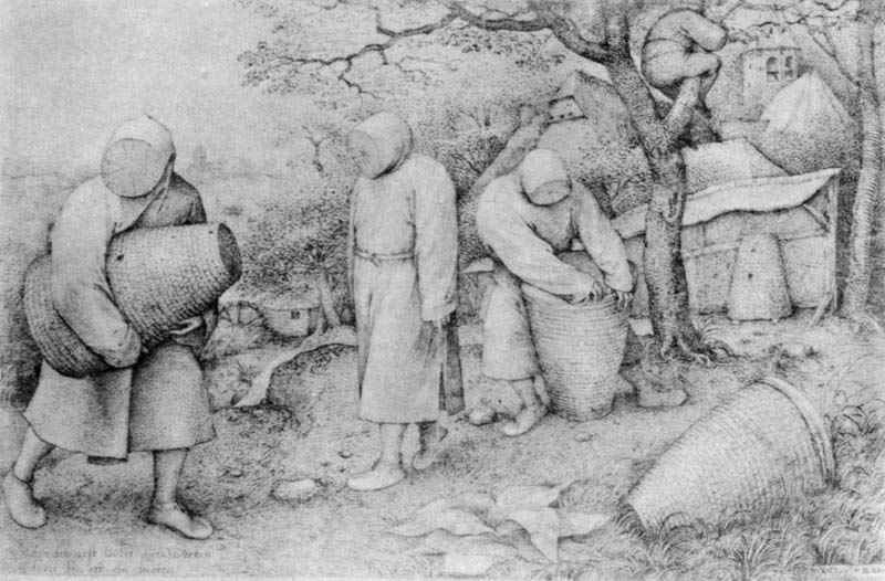 Pieter Bruegel the Elder, Pieter Brueghel the Elder,