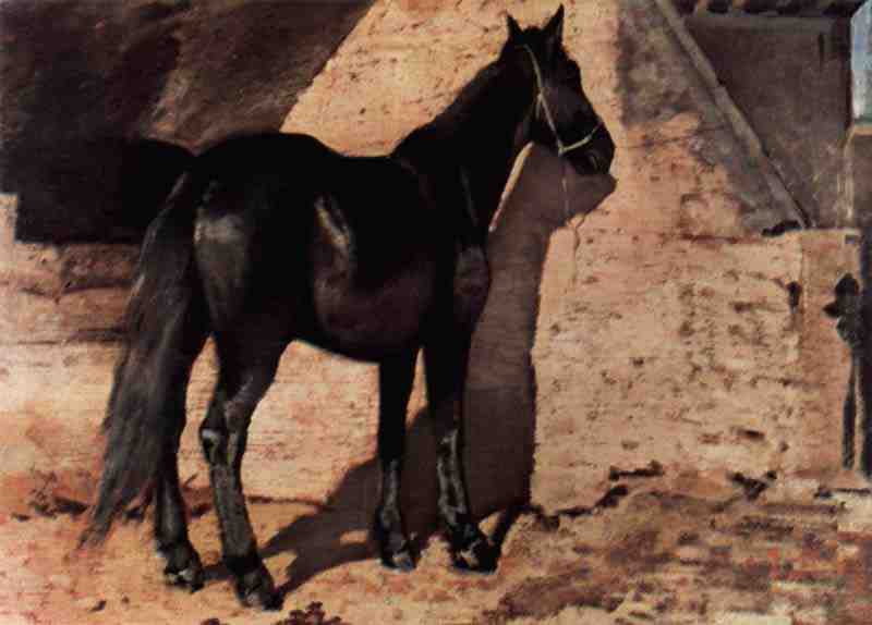 Black Horse in the sun, Giovanni Fattori