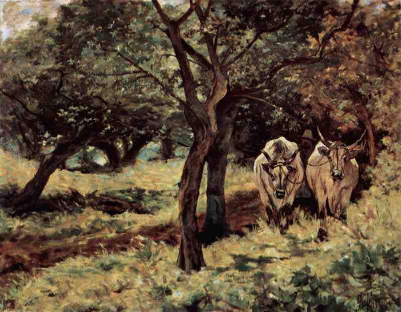 Two oxen in the olive grove, Giovanni Fattori