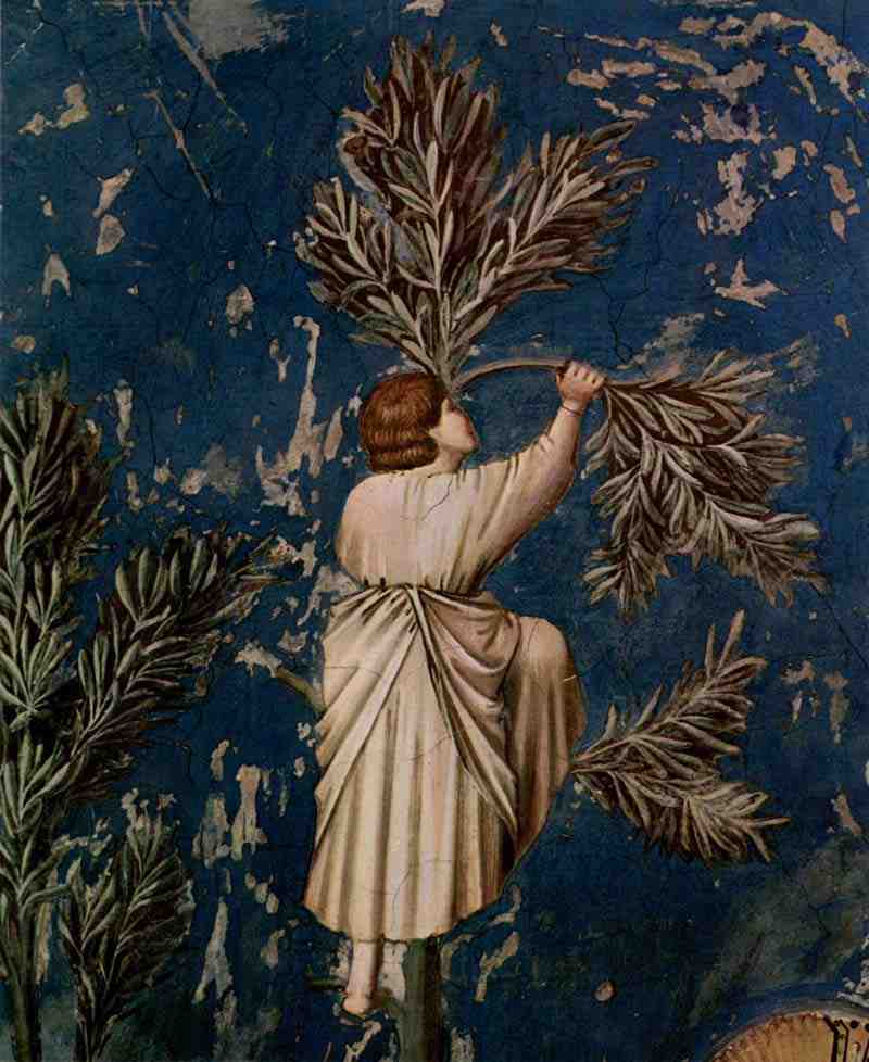 Fresco cycle in the Arena Chapel in Padua (Scrovegni Chapel) Scene: The Entry into Jerusalem, detail, Giotto di Bondone