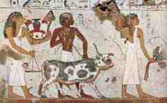 Painter of the grave chamber of Amenemhêt