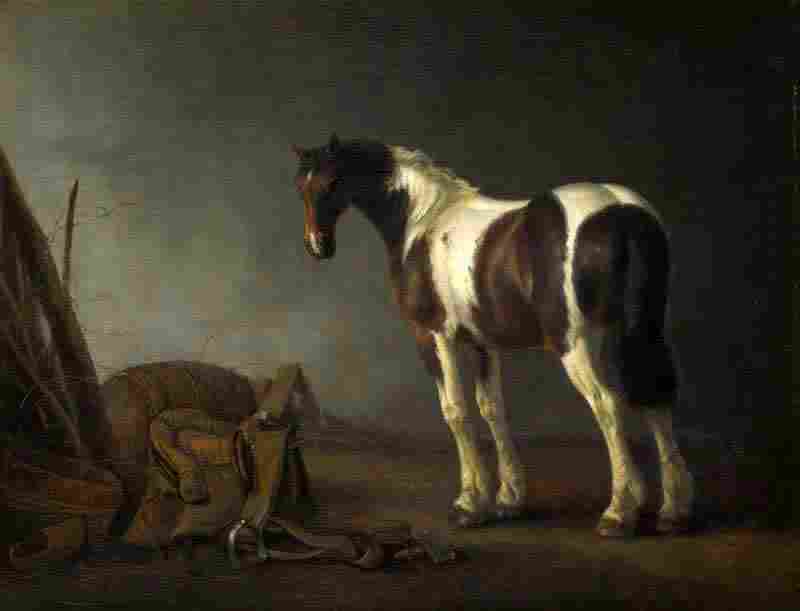 A Horse with a Saddle Beside it. Abraham van Calraet