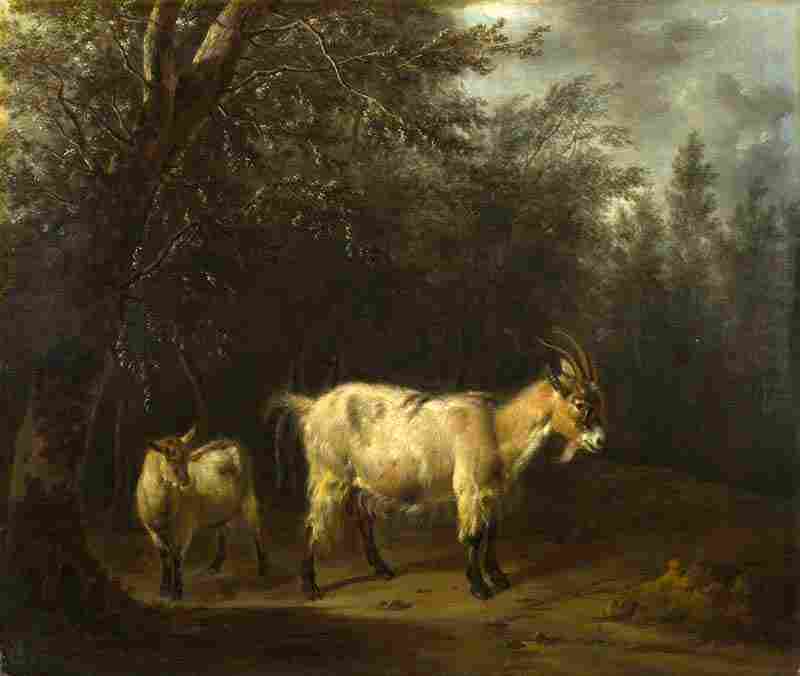 A Goat and a Kid. Adriaen van de Velde