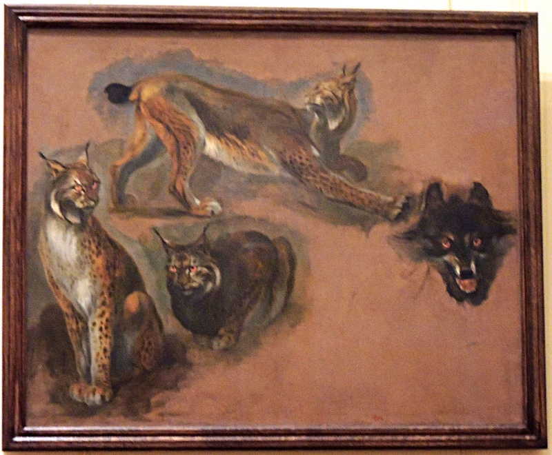 Lynx and Wolf, Pieter Boel