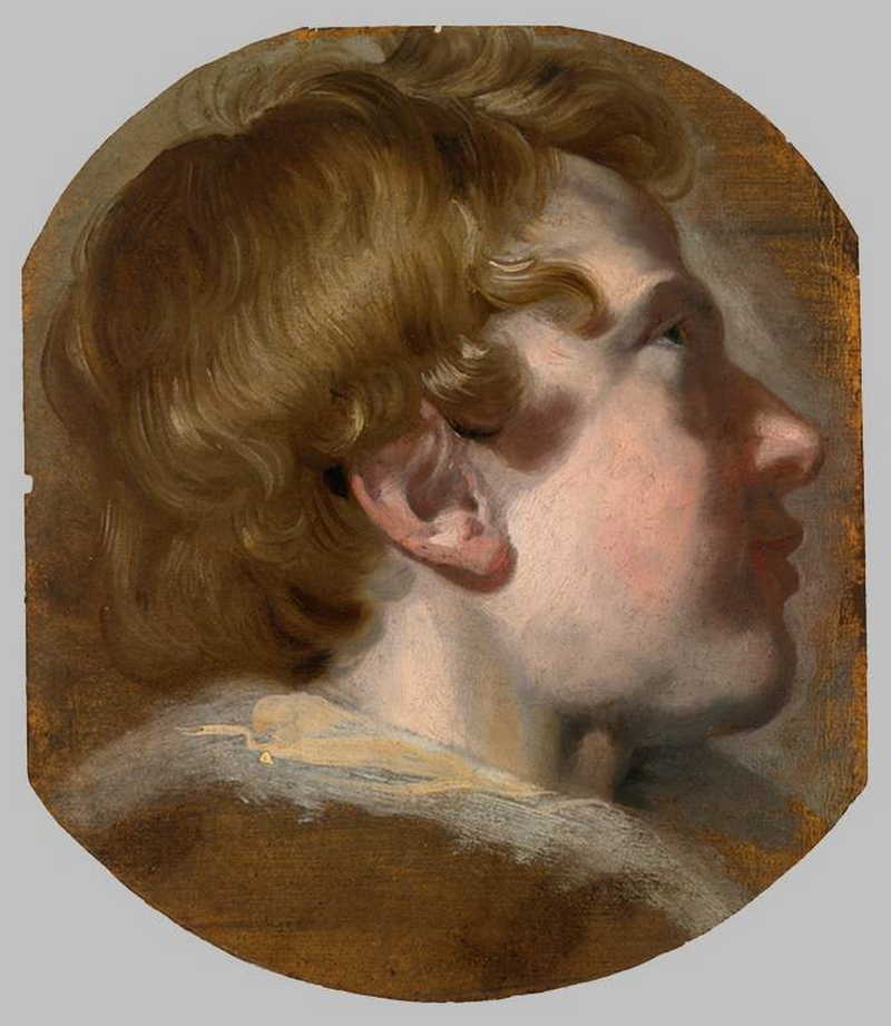 Study of a Boy's Head. Pieter van Mol