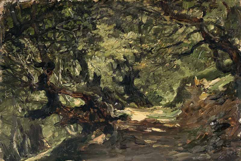 Forest In Alsasua . Carlos de Haes