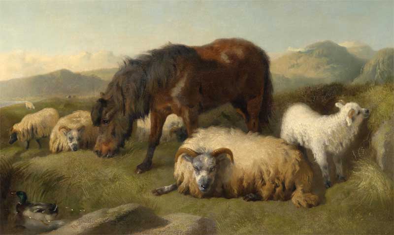 Goats, sheep and a pony. Richard Ansdell
