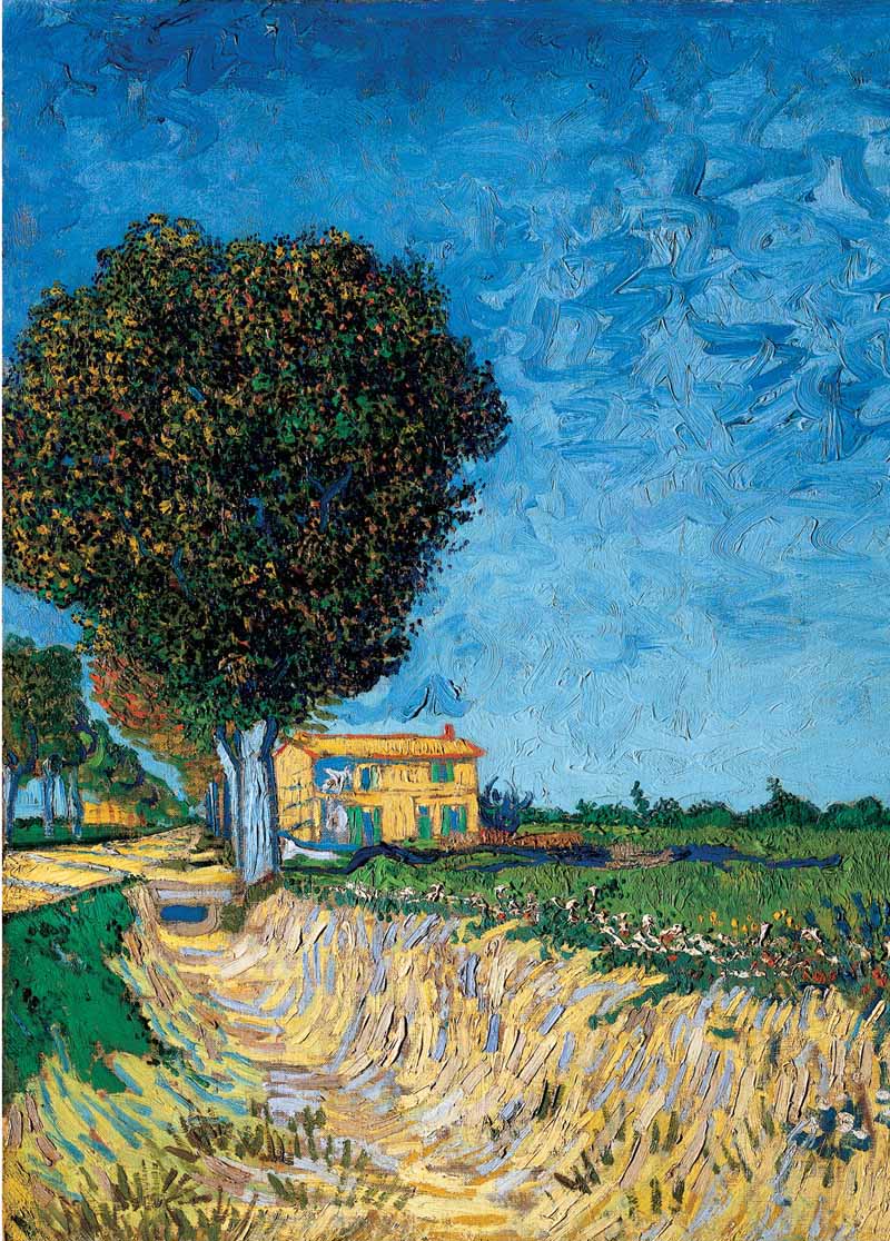 A Lane near Arles , Vincent van Gogh
