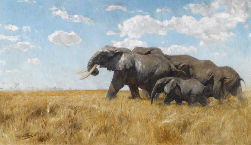 Elephants on the Move, Wilhelm Kuhnert