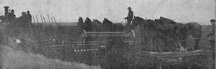 In many parts of Western Canada, large farms are operated by steam or gasoline power. This shows its use, and also discing, seeding and harrowing.