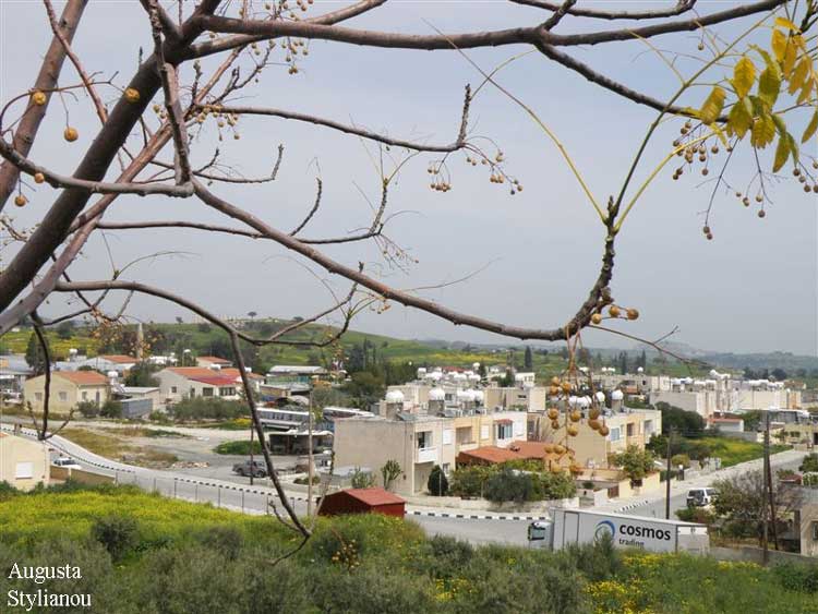 Kofinou, Cyprus