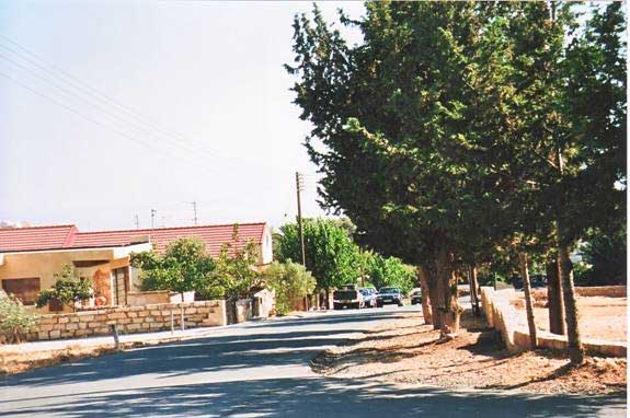 Pano Kyvides, Zypern