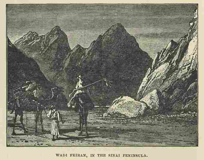 076.jpg Wadi Feiran, in the Sinai Peninsula 