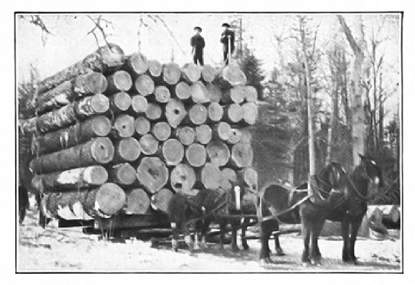 HAULING LOGS TO THE RIVER