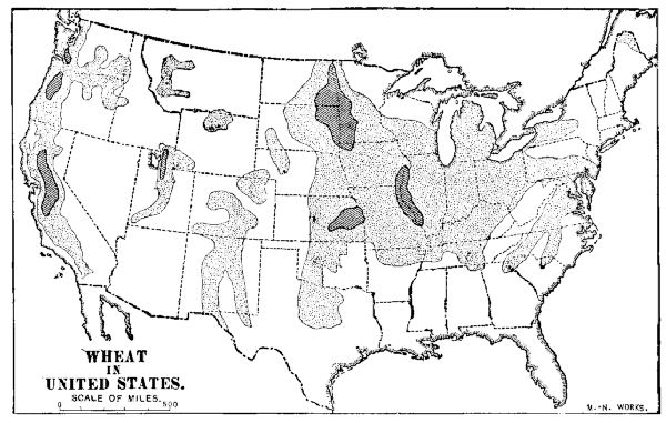 WHEAT IN UNITED STATES