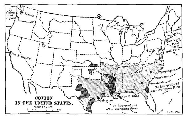 COTTON IN THE UNITED STATES
