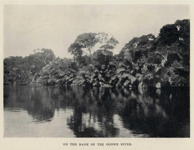 ON THE BANK OF THE OGOWE RIVER.