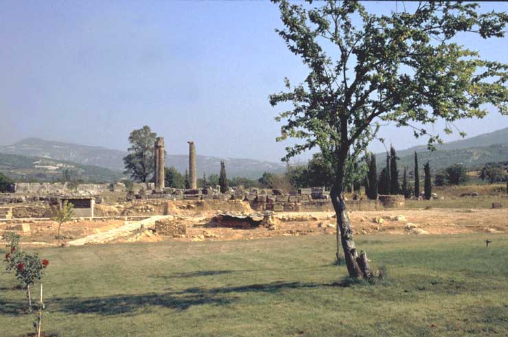 Nemea, Zeus Temple