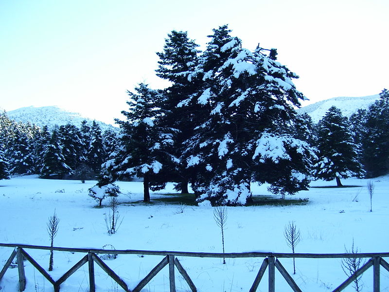 Το πάρκο Αρβανίτσα χιονισμένο