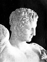 HEAD OF THE OLYMPIAN HERMES -- Museum, Olympia -- English Photographic Co., Athens, Photo. John Andrew & Son, Sc.