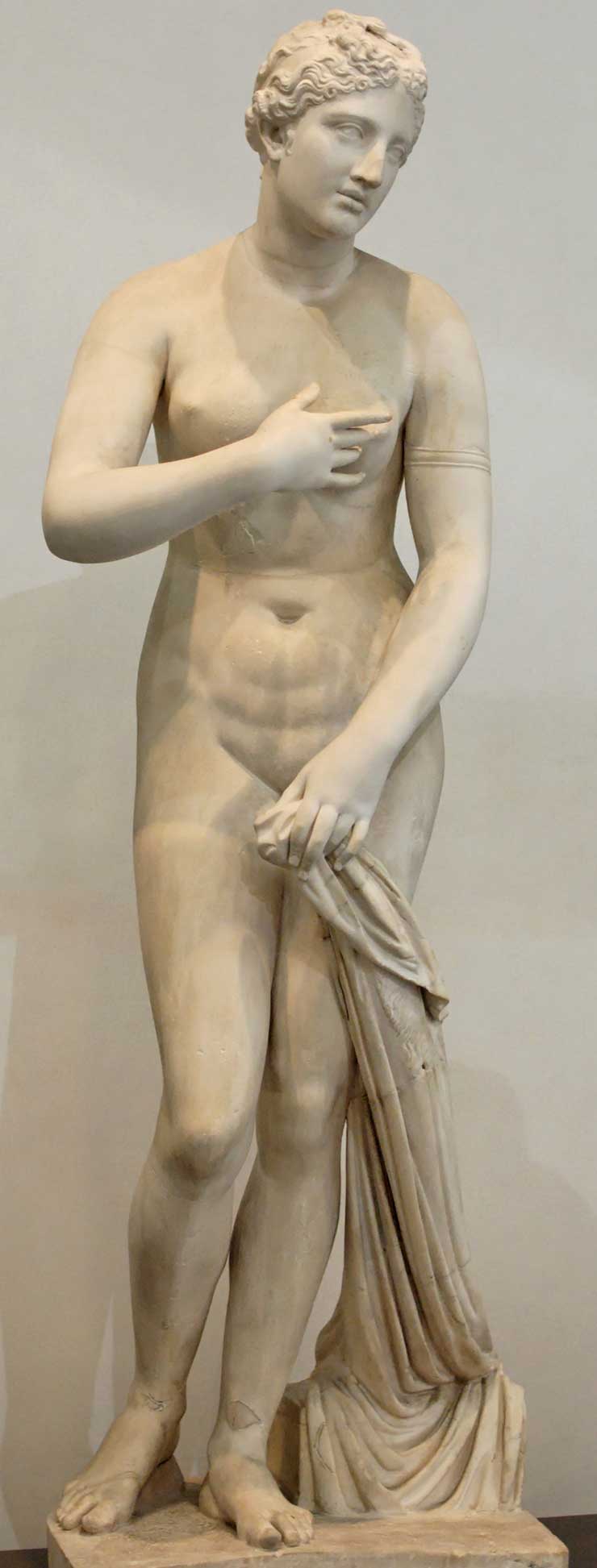 Venus pudica, Menophantus