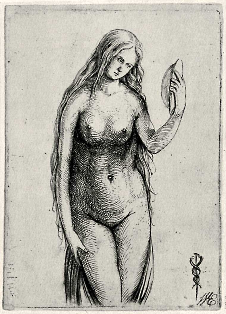 Venus (or Allegory of Vanity), Jacopo de 'Barbari