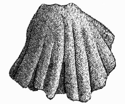 Woollen Cloak