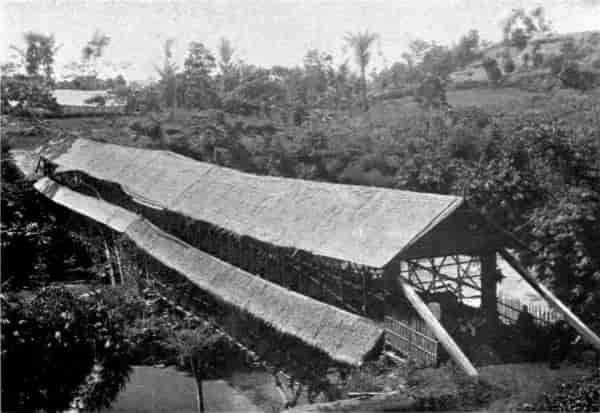 Bamboo bridge across the Tji-taroon.