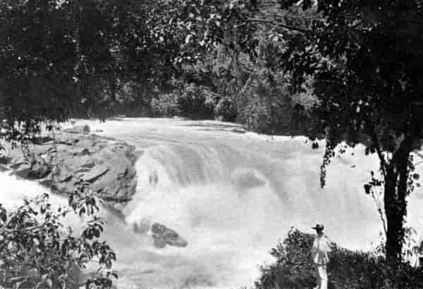 The rapids of the Tjitaroon.