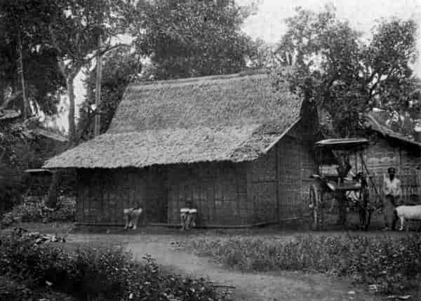 A bamboo hut.