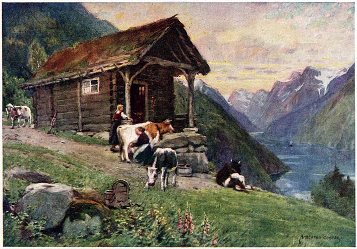 A Sæter, Vetle Fjord