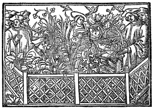 Text-fig. 18. A Herbalist’s Garden