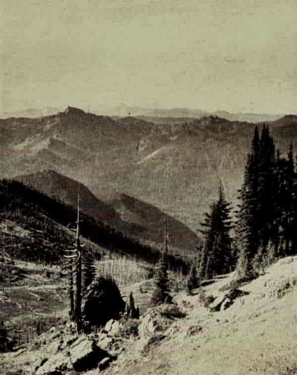 MOUNT ST. HELENS SEEN FROM MOUNT RAINIER PARK