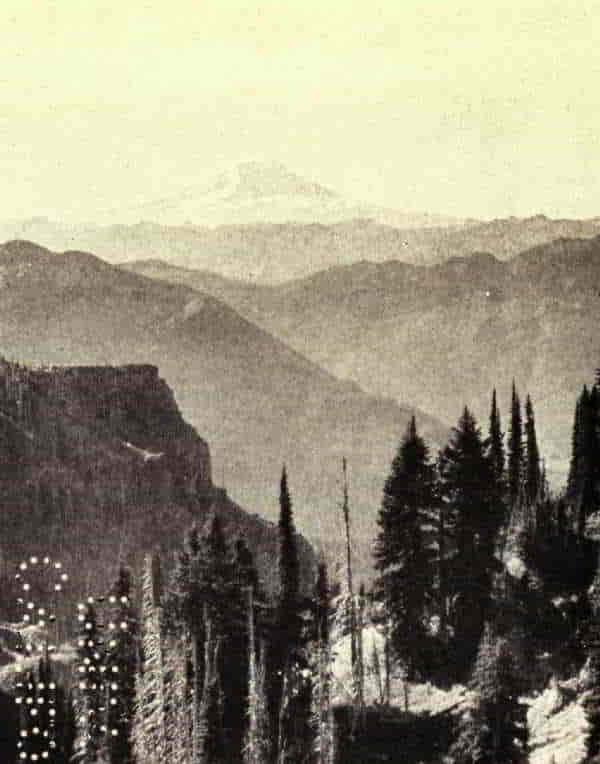MOUNT ADAMS SEEN FROM MOUNT RAINIER PARK