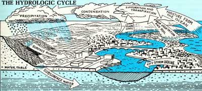 THE HYDROLOGIC CYCLE