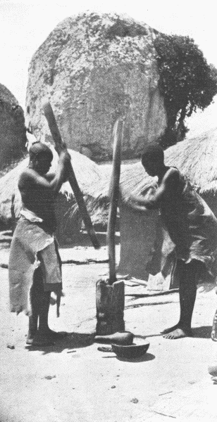 Matabele Women Stamping Grain.
