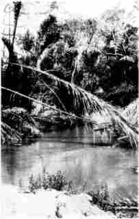 [Photograph: By courtesy of W.D. Boyce. It Is Tropical Along the Athi River]